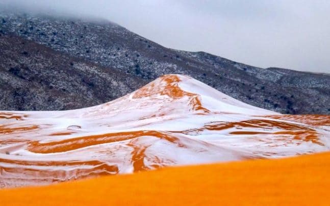 تساقط الثلوج في الصحراء ينتشر مواقع التواصل الاجتماعي Climasouth